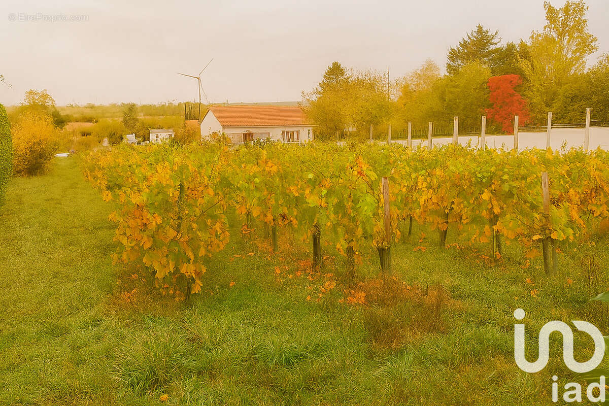 Photo 8 - Maison à CERNUSSON