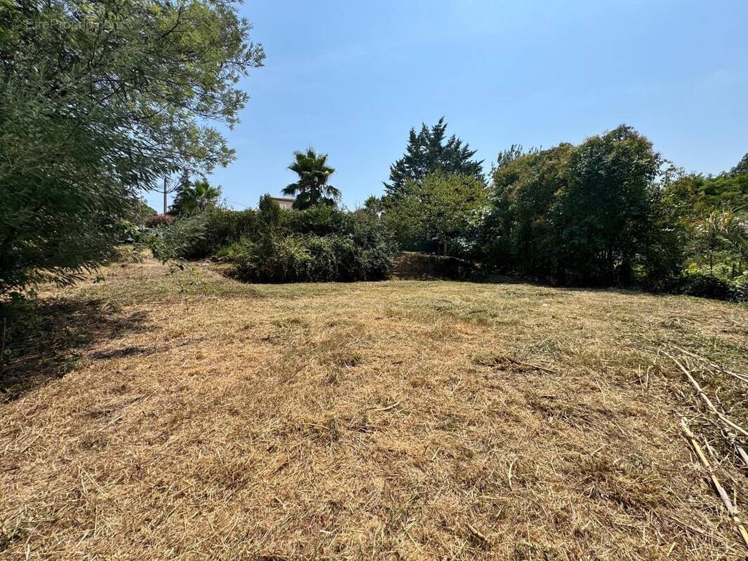 Photo 1 - Terrain à LA ROQUETTE-SUR-SIAGNE