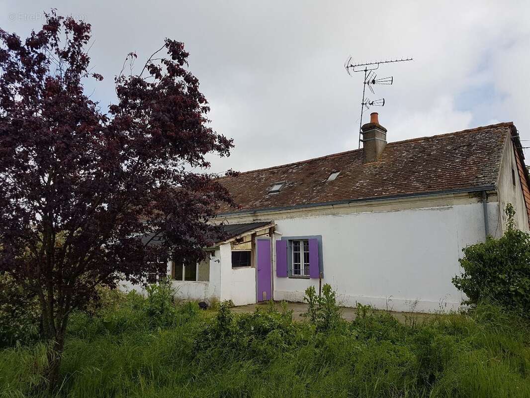 Maison à LOUAILLES