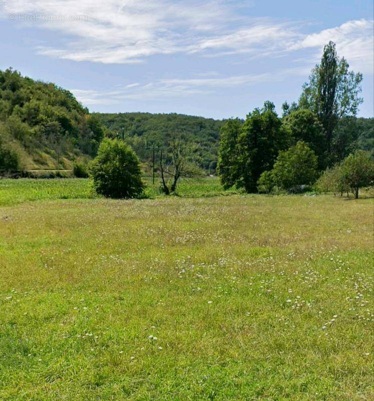 Terrain à BORREZE