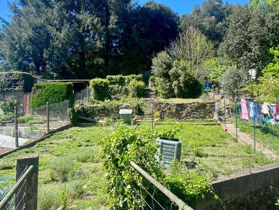 Photo 9 - Maison à SAINT-AMANS-VALTORET