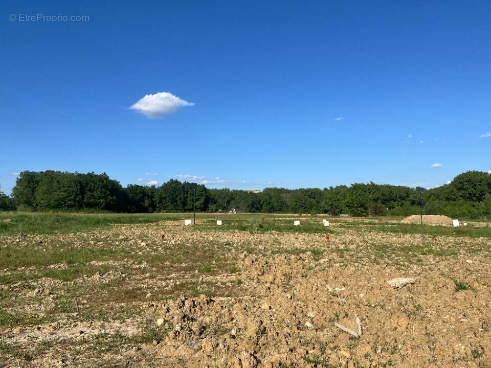 Terrain 550 m² à Busque  - photo 3