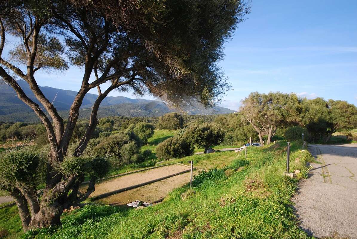 Appartement à SERRA-DI-FERRO