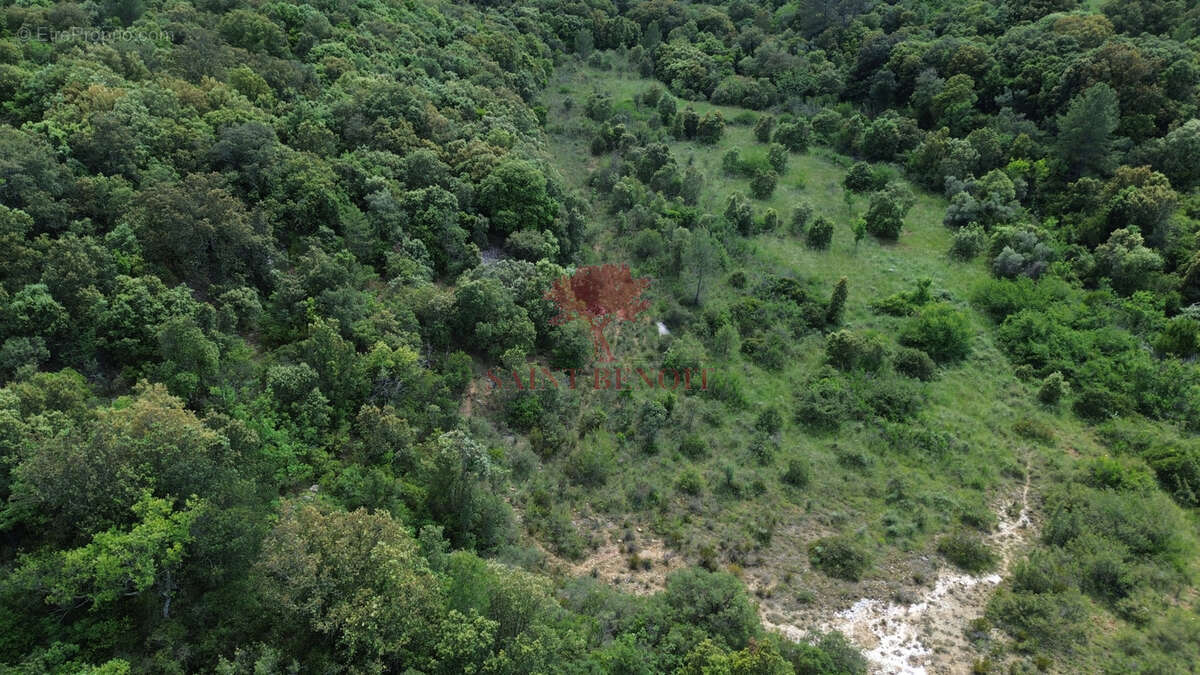 Terrain à PUECHABON