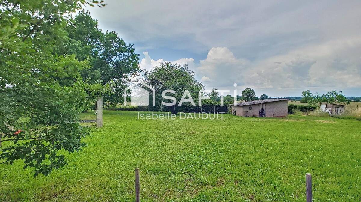 Photo 1 - Terrain à NEGREPELISSE
