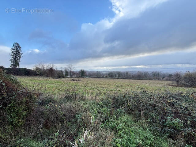 Terrain à FARGES
