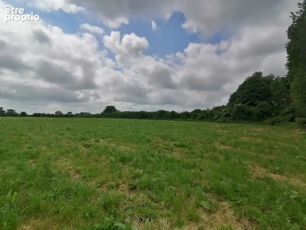 Quatre parcelles à fontenay sur mer - photo 7
