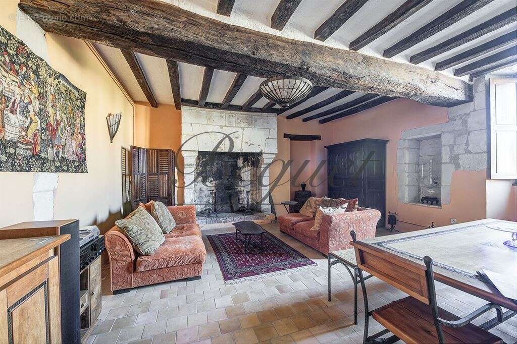 Maison à FAYE-LA-VINEUSE