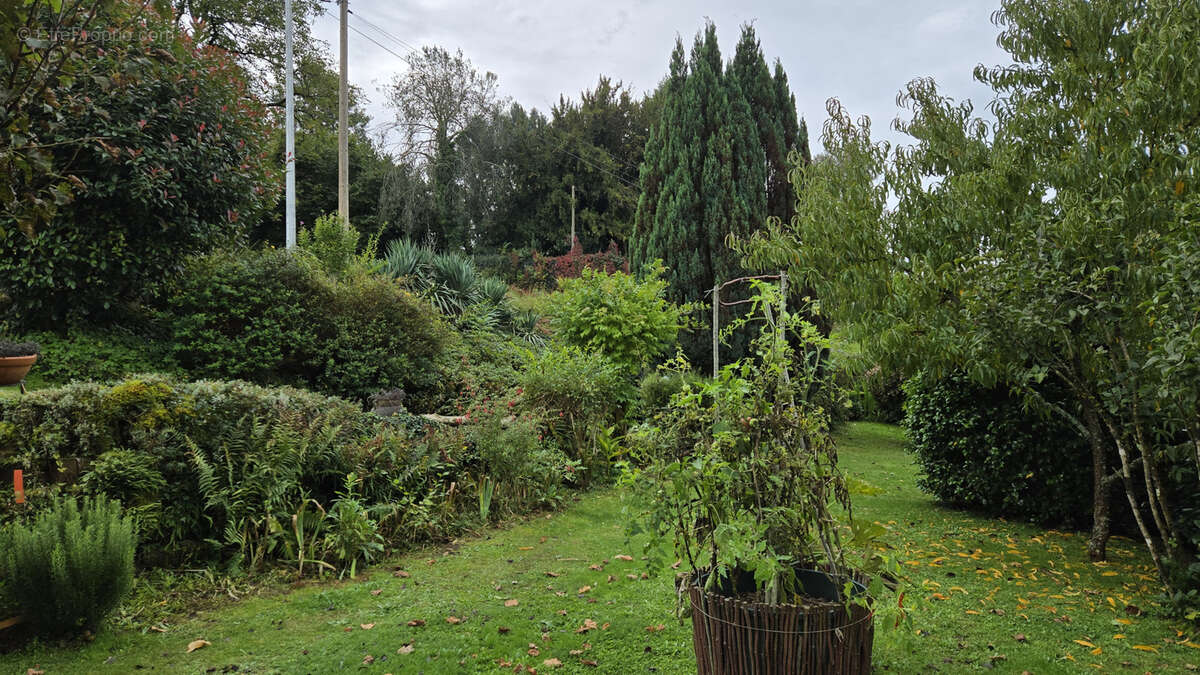 Maison à SAINT-BONNET-LES-TOURS-DE-MERLE