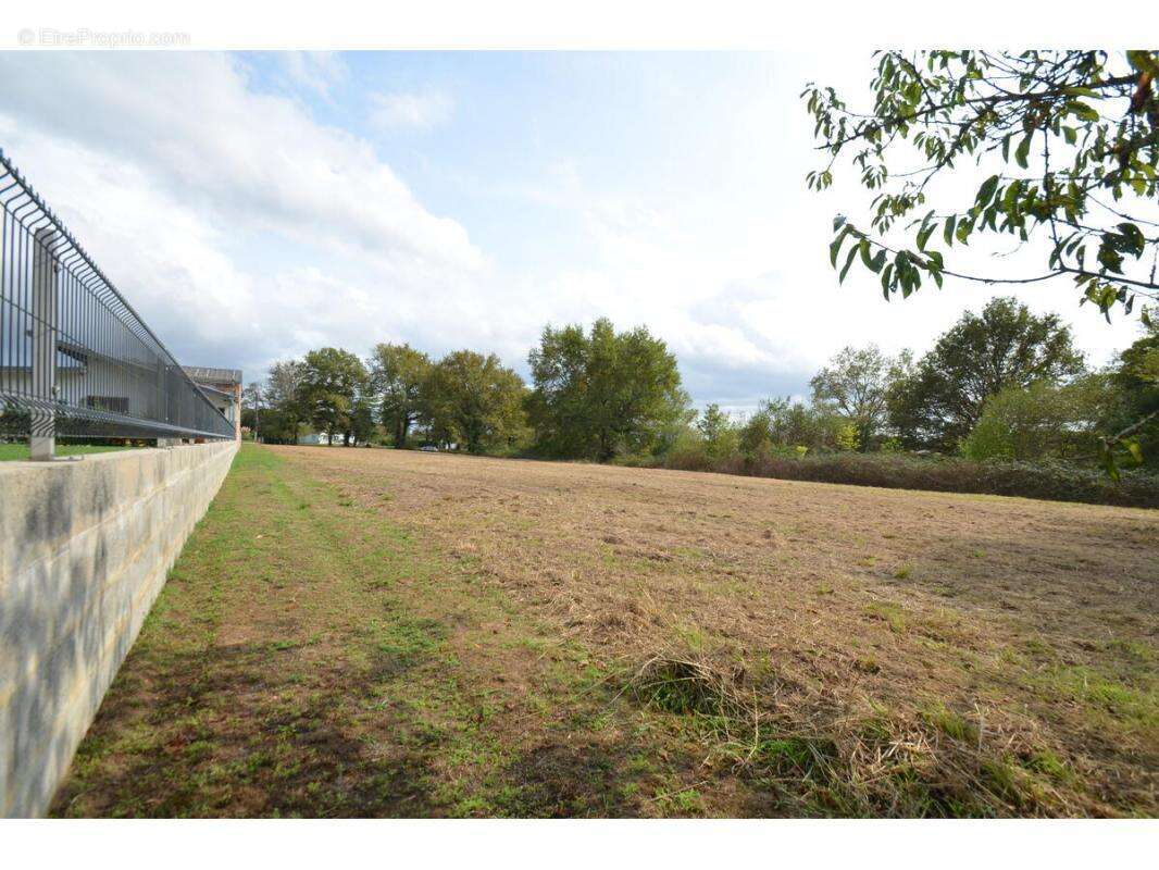 Terrain à PORCHERES