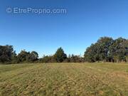 Terrain à SAINT-PIERRE-DE-CHIGNAC