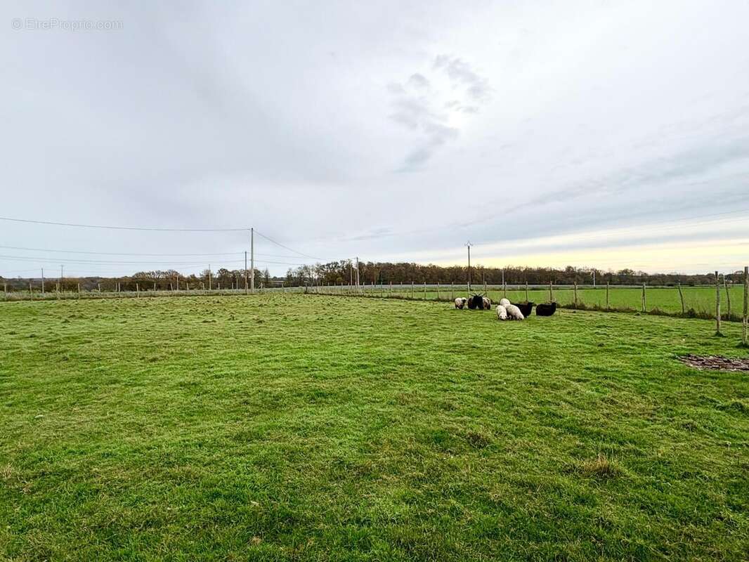 Photo 5 - Maison à COURDEMANCHE