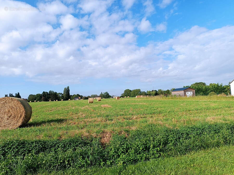 Terrain à NERONDES