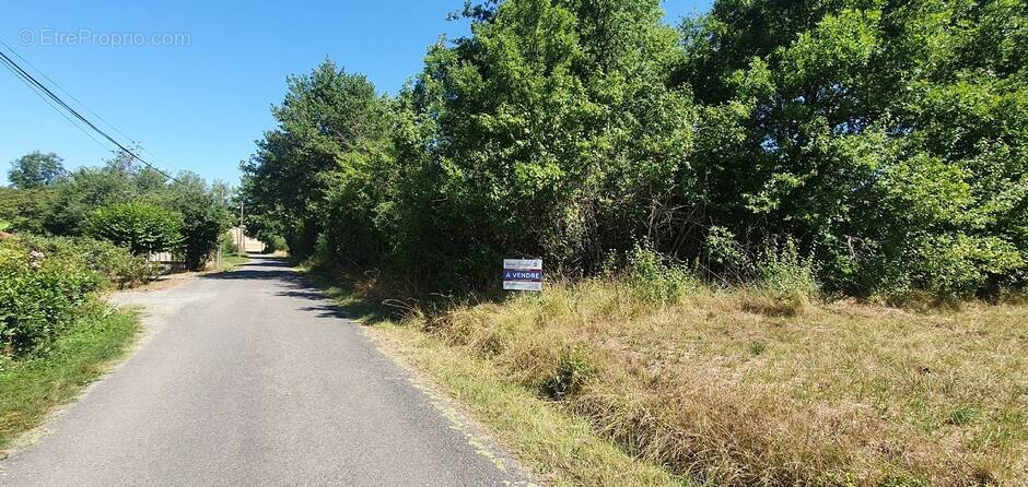 Terrain à CORDES-SUR-CIEL