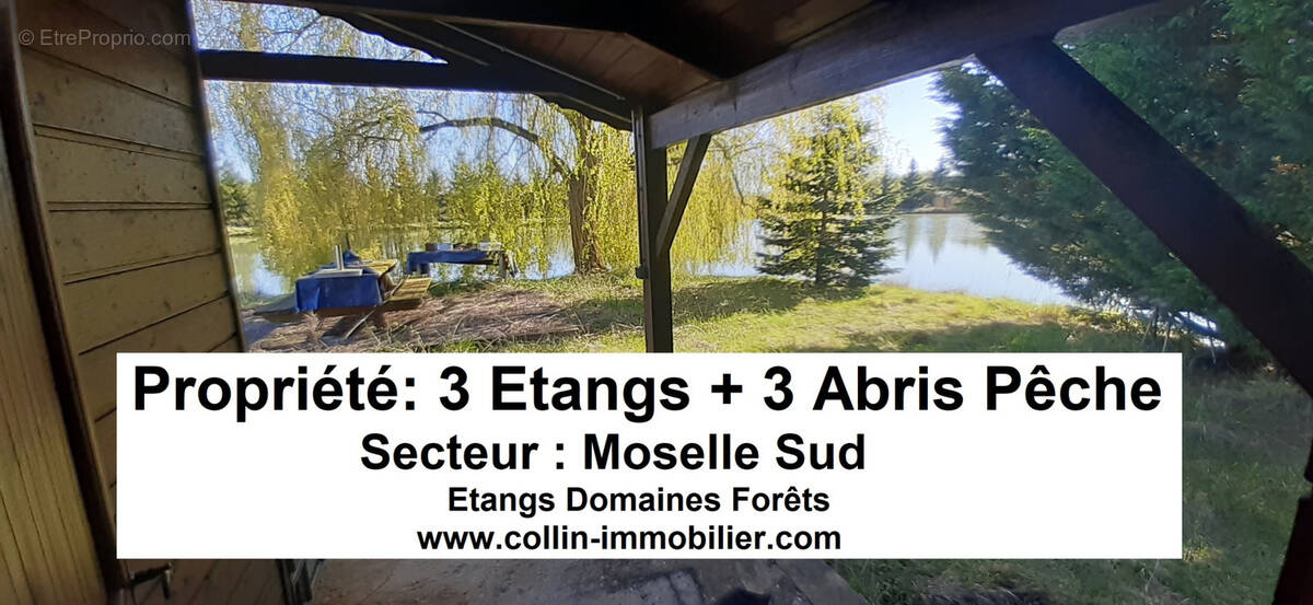 Terrain à CHATEAU-SALINS