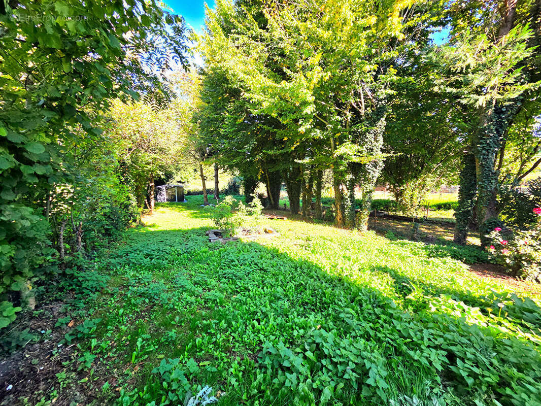 Alrance, Maison en pierres et son jardin attenant - photo 2