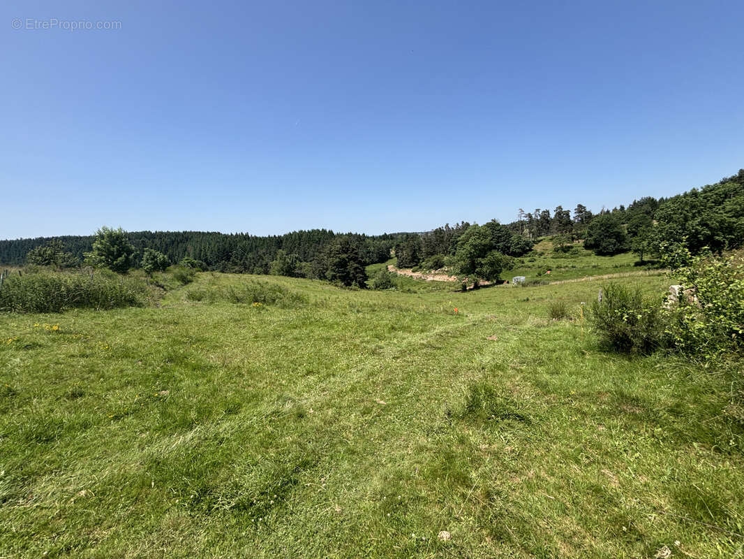 Terrain à SAINT-PAL-DE-MONS