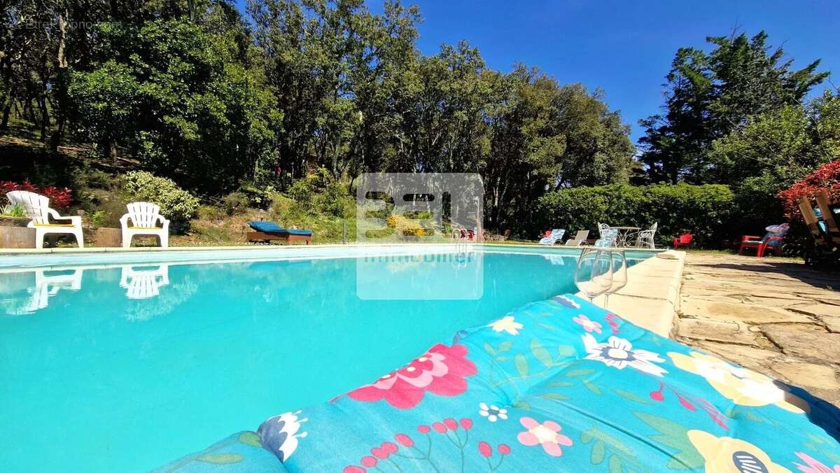 Propriété d'exception Mas et gîtes. - photo 19