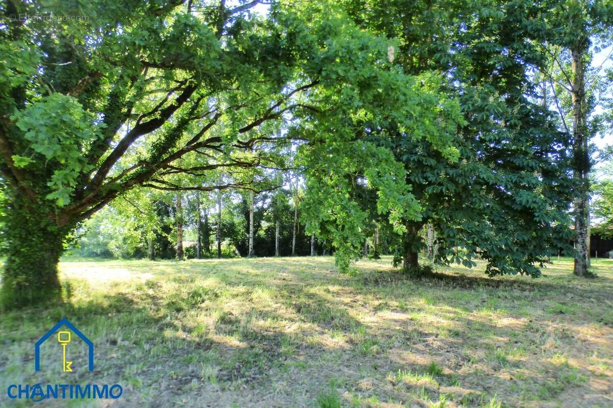 Maison à CHANTONNAY