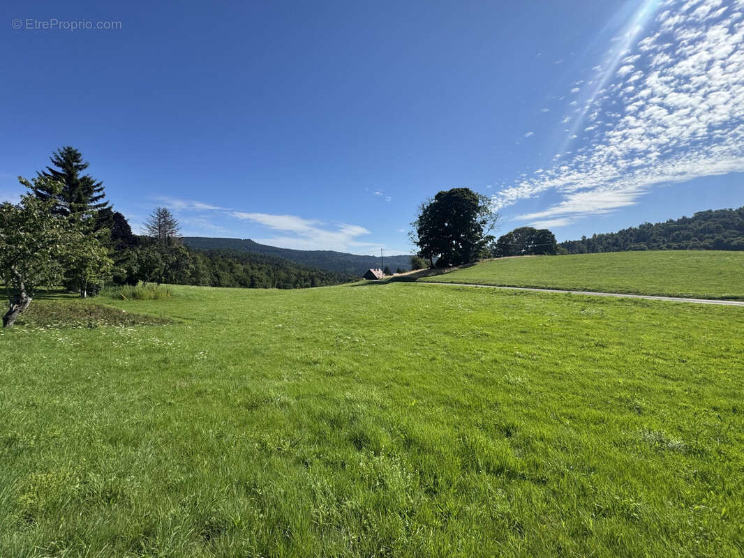 Terrain(s) constructible(s) 13,15a Hohwald - photo 4