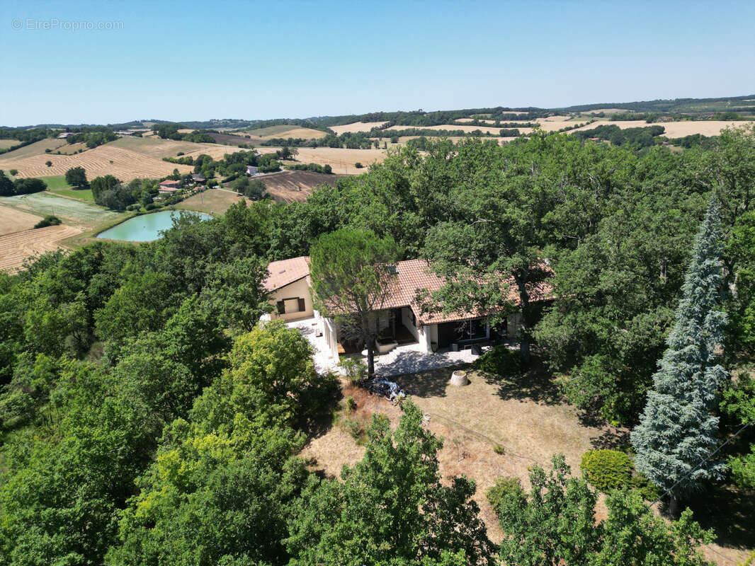 Maison d'architecte plain-pied de 280 m2 avec un terrain de 5 752 m2 - photo 21