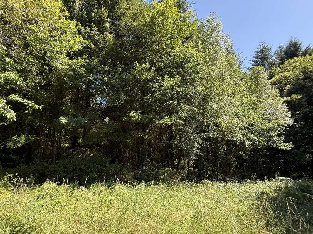 Terrain à BEYSSENAC