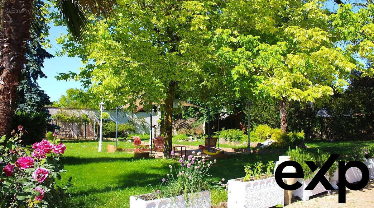 Autre à VILLIEU-LOYES-MOLLON