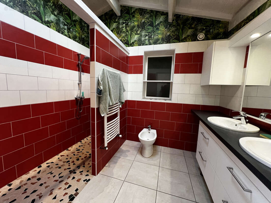 Maison à SAINT-PIERRE-DE-MONS