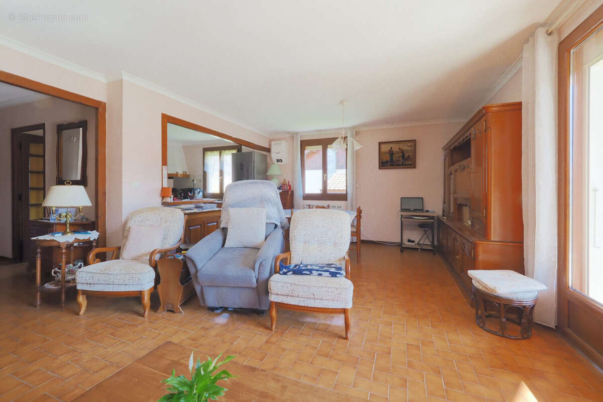 Séjour maison - Maison à DOUSSARD