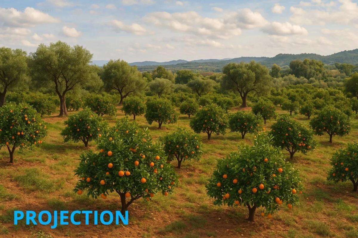 Commerce à SAINT-LAURENT-DU-VAR