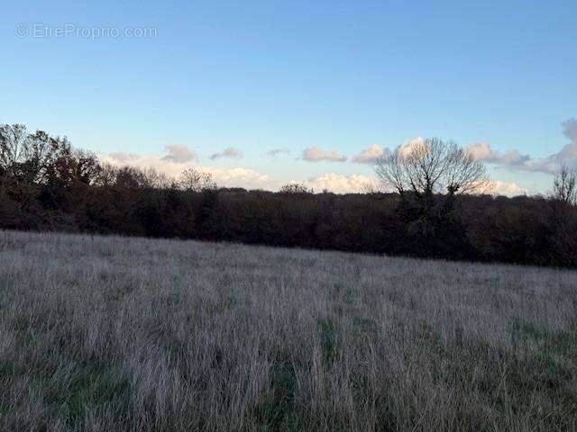 Terrain à SAINT-GERMAIN-D&#039;AUNAY