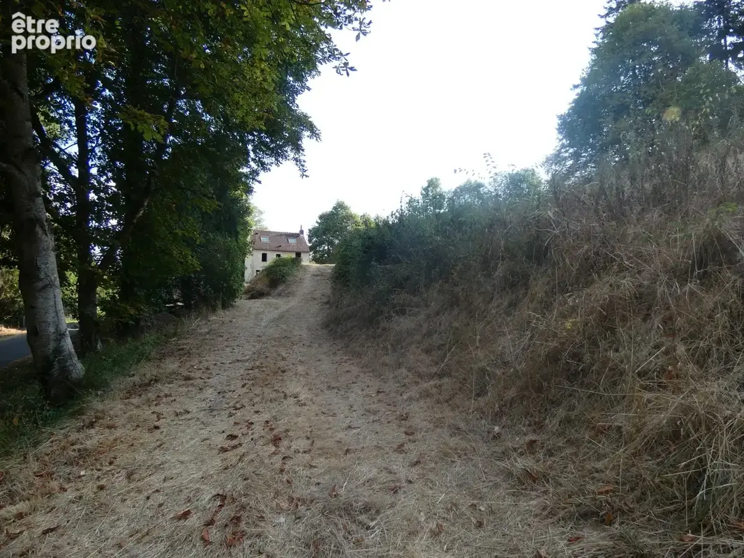 proche de ARGENTAN (61) propriété de 9078 m² de terrain - photo 5