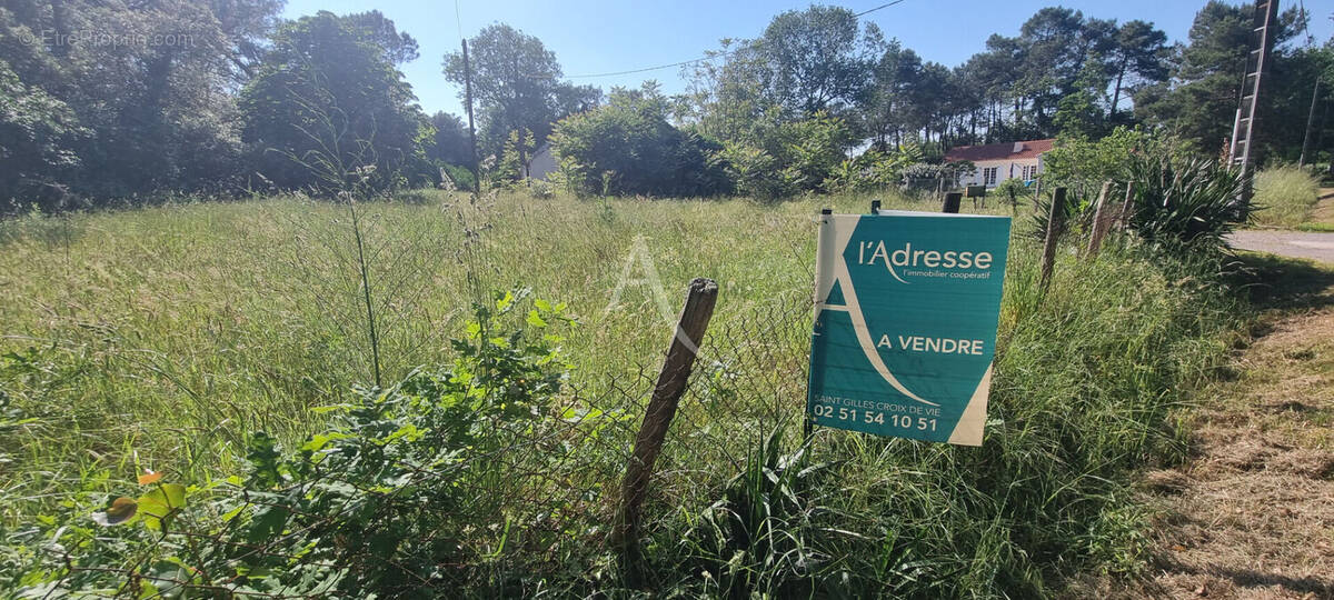 Terrain à SAINT-HILAIRE-DE-RIEZ