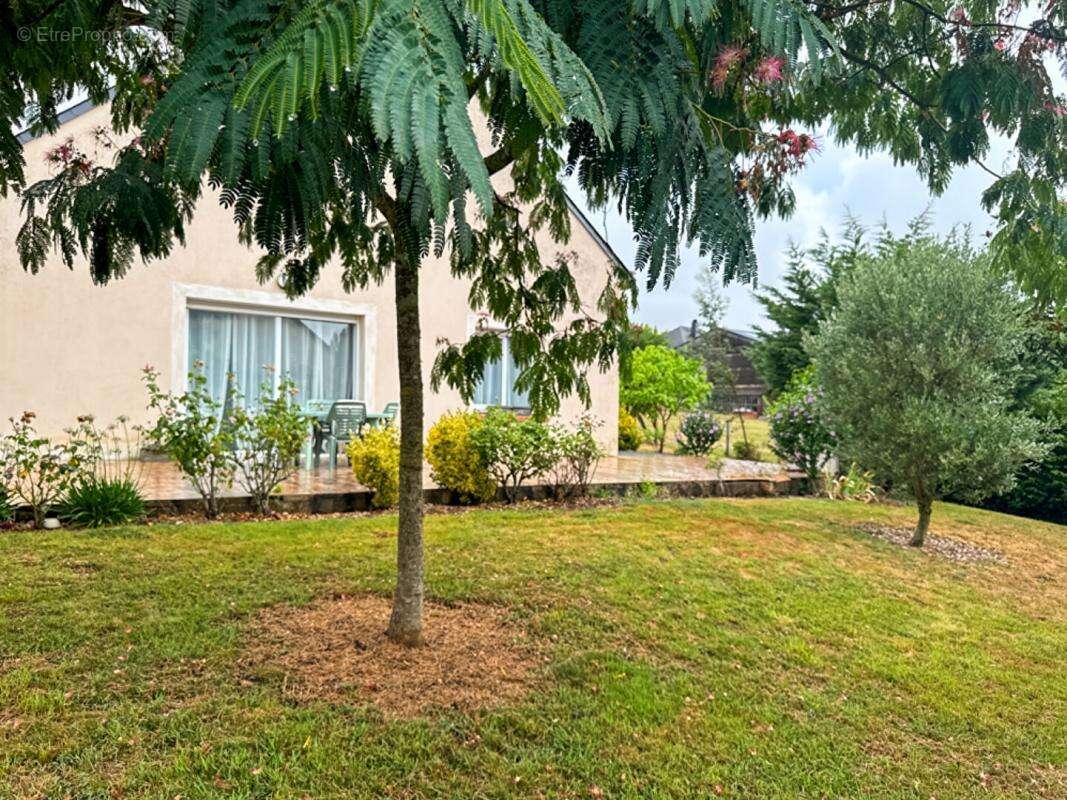 Maison à SAINT-DENIS-D'ANJOU