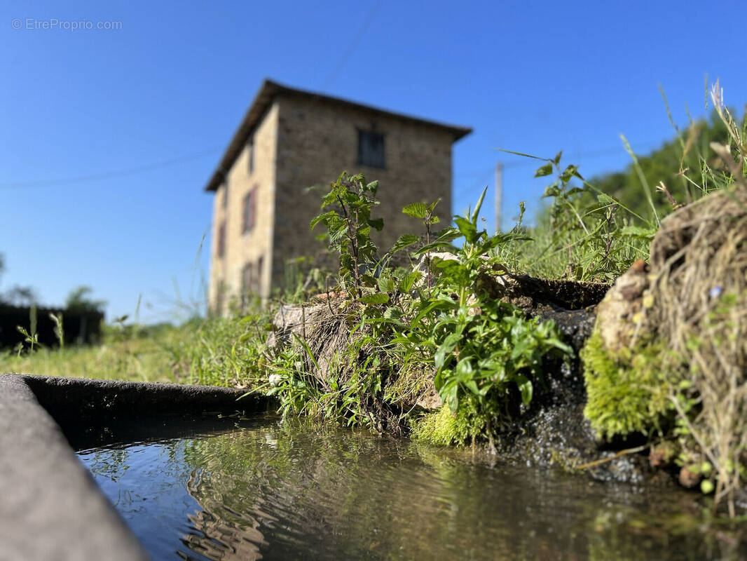 Photo 1 - Maison à CUBLIZE
