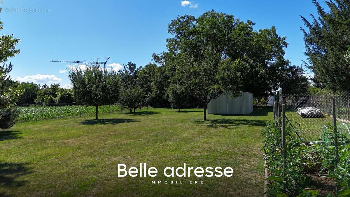 Terrain à MOLSHEIM