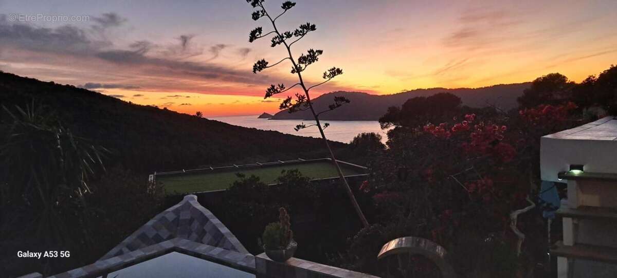 VILLA BALATA Île du Levant • Hyères Acquisition de la nue-propriété - photo 13