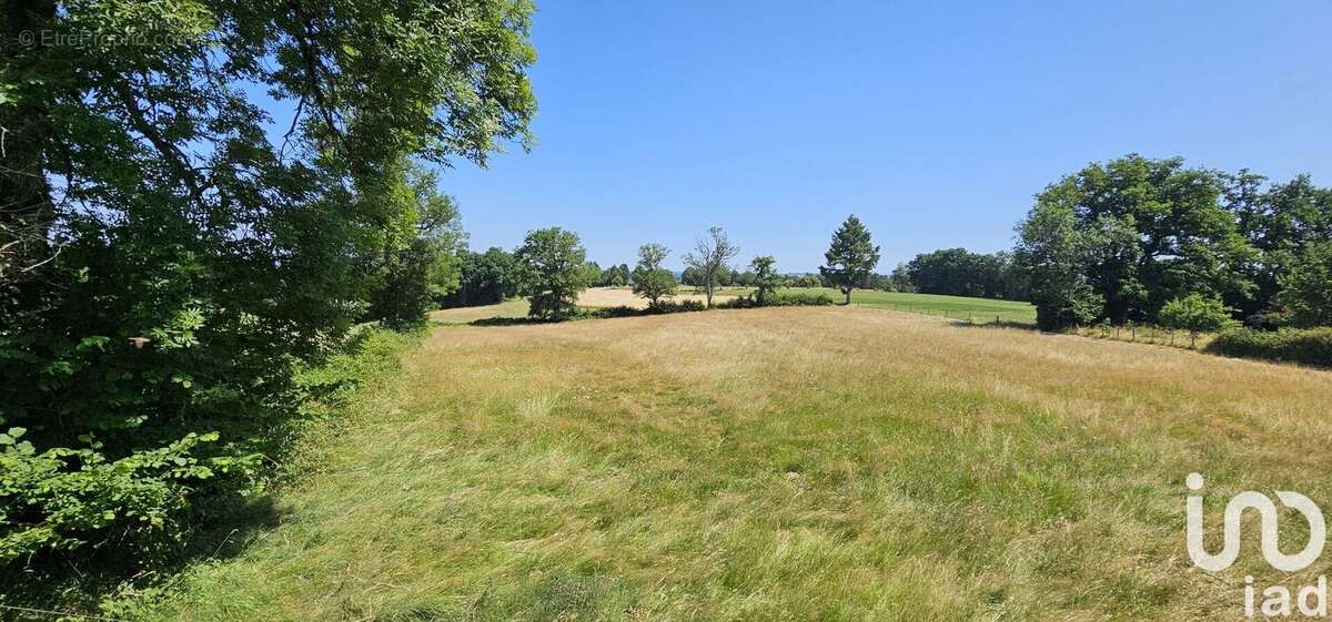 Photo 7 - Maison à PLEAUX