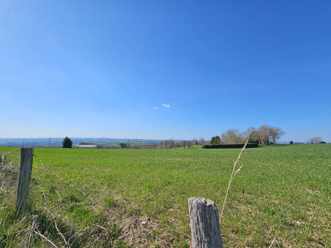 Très beaux terrains constructibles commune de Baraqueville - photo 3