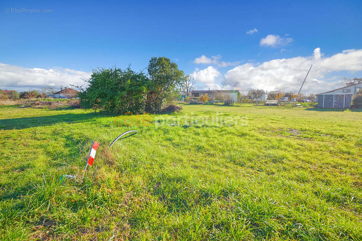 Terrain à COUFOULEUX