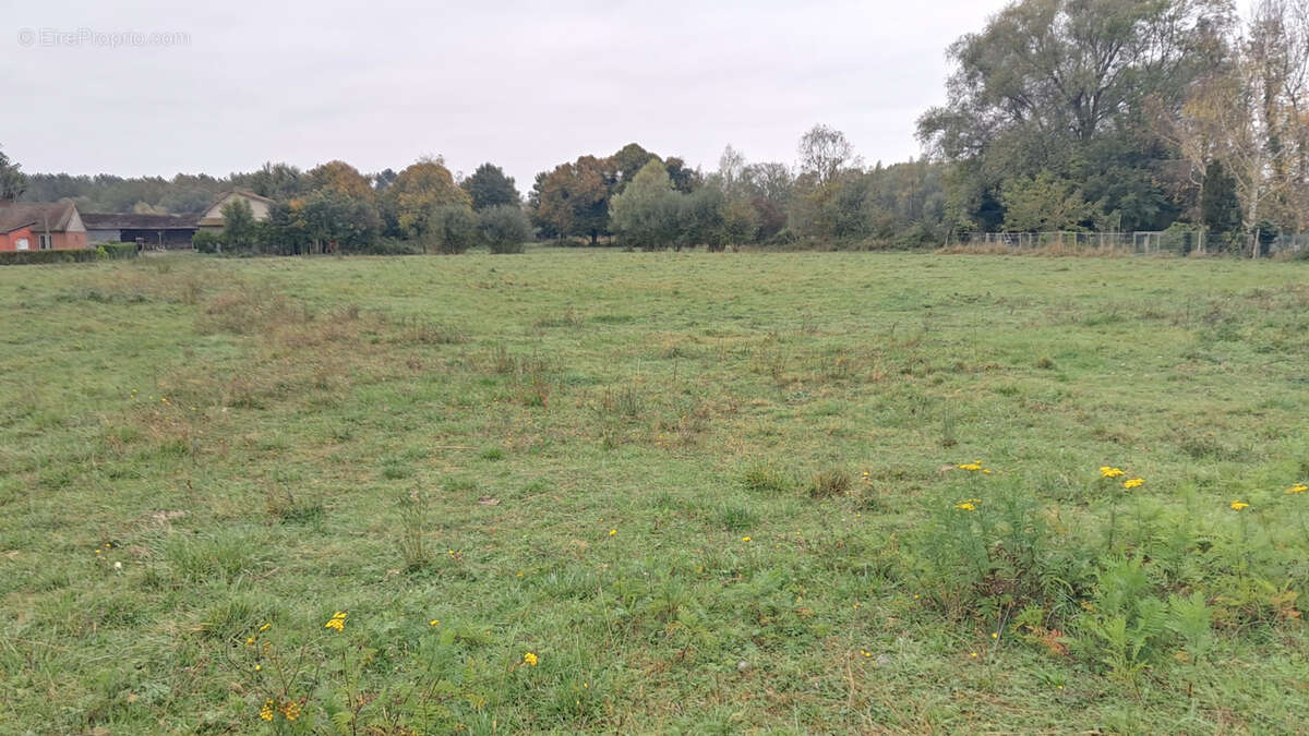 Maison à NOYELLES-SUR-MER