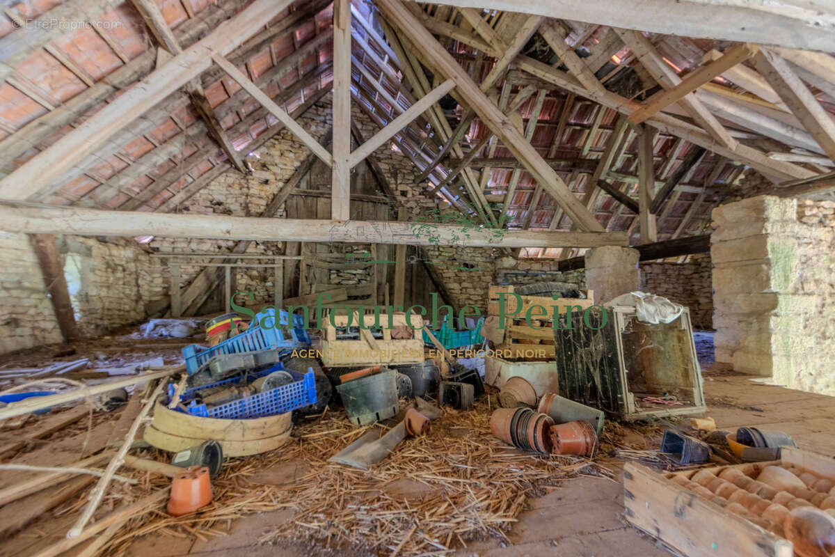 À 12 km au Sud de Sarlat, sur la commune de Saint Vincent de Cosse - Vallée de la Dordogne - photo 8