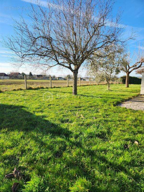 Maison 238 m² à Percey  - photo 13