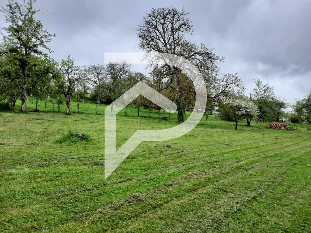 Terrain à VERSEILLES-LE-BAS