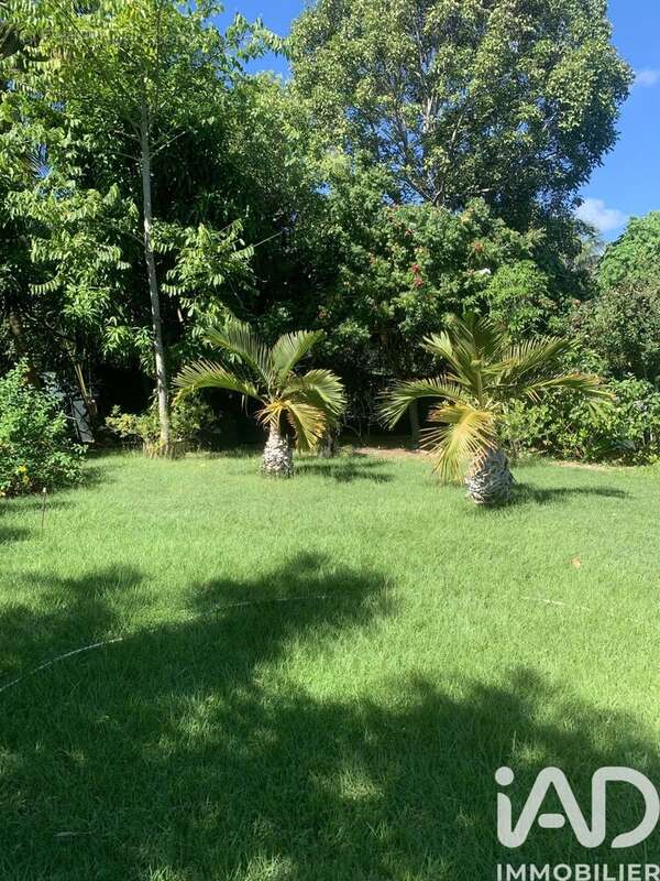 Photo 3 - Maison à LE GOSIER