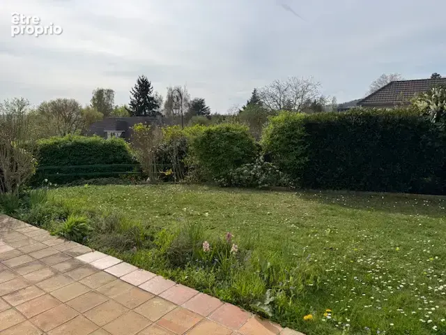 Villennes sur seine- - photo 12