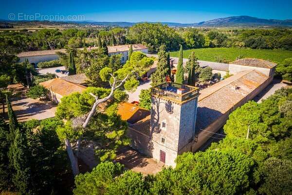 Terrain à PORTEL-DES-CORBIERES