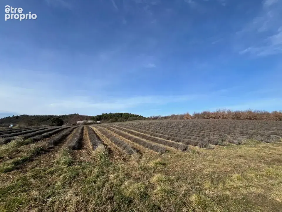 Terrain à ROUMOULES
