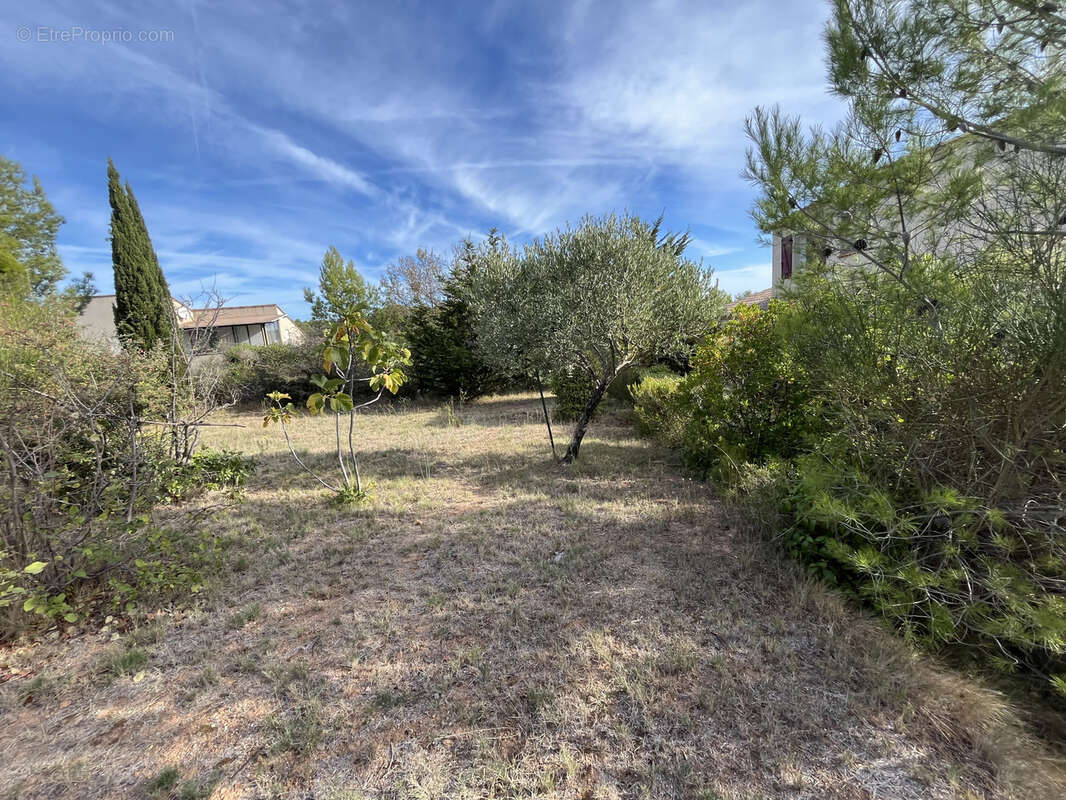 Maison à LEZIGNAN-CORBIERES