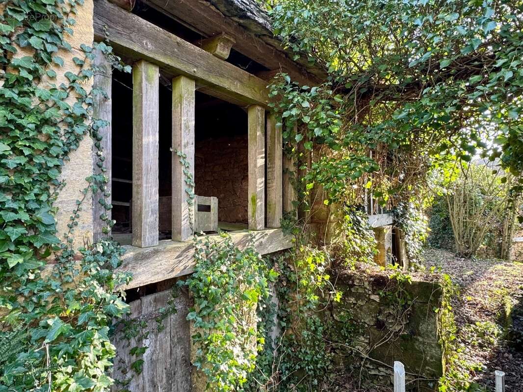 IMG_1232.jpeg - Maison à BEYNAC-ET-CAZENAC